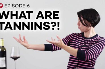 Wine Folly: Tannins in Wine (Ep.6)