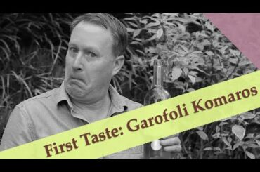 Two New (To Me) Italian Roses