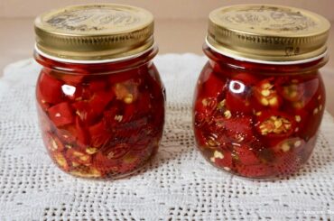 Italian Oil Pepper Recipe