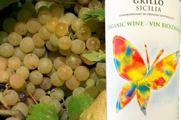 Time to Taste Wine - A Sicilian Sipper