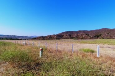day trip to temecula wine country california. 4K.