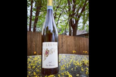 Pieropan Soave 2017 Wine Tasting