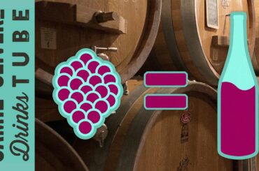 How is Wine Made? | Luca Dusi