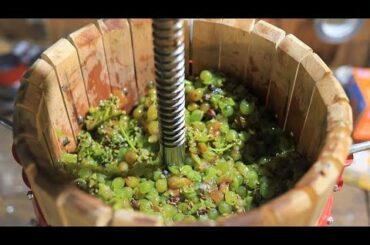 Making a White Wine from Grapes