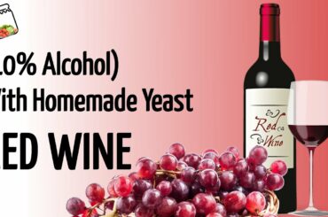 Spectacular Red Wine (10% Alcohol) With Homemade Yeast || How To Make Wine At Home