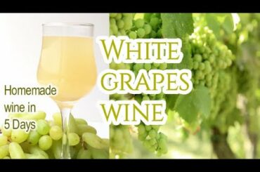 Homemade White Grapes Wine Recipe | Grape Wine | White Wine in 5 Days | Instant Wine