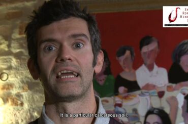 Discover Emilia Romagna wines