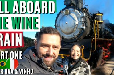 The WINE Train + Wonderful day tour - (Tour Uva & Vinho) + Honeymoon PART 1