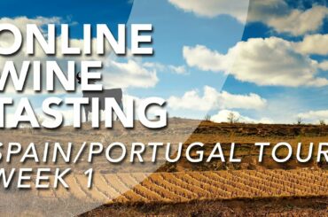 Online Wine Tasting - 10th of June // Spain/Portugal Tour - Week 1