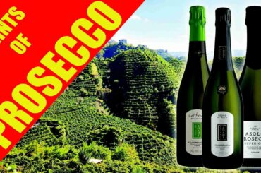 Hints of Prosecco - Live wine tasting by LIBIAMO WINES UK