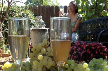 How To Make White Wine-Fermenting Grapes To Alcohol Recipe