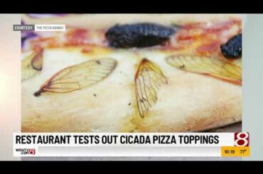 Restaurant tests out pizza topped with cicadas