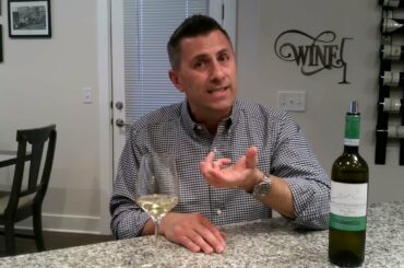 Verdicchio (dei Castelli di Jesi) - Know Wine In No Time