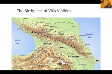 Eric Vogt: The Biology of Taste and a Critique of 6 Italian Wines