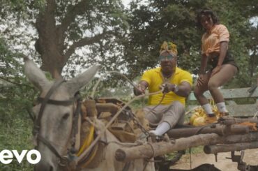 Elephant Man - Gyal Wine (Official Music Video)