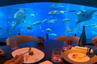 Fine Dining at Ocean Restaurant