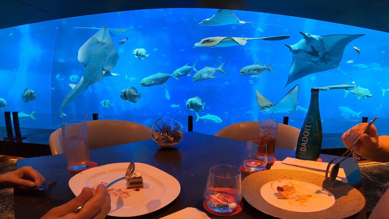 Fine Dining at Ocean Restaurant Fine Dining at Ocean Restaurant