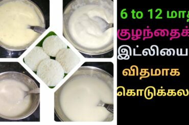 How to give idli for 6 to 12months babies//idli recipes for babies/pranesh mommy/in tamil