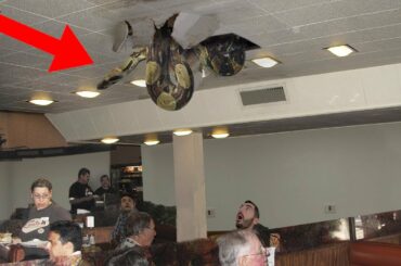 10 Times Restaurants Went Horribly Wrong!
