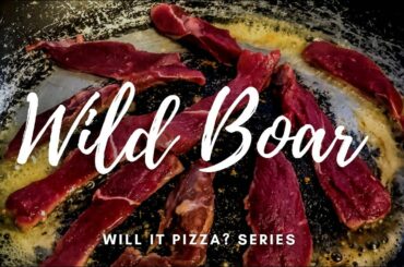 Will it Pizza? Wild Boar - Vince's Italian - Bristol - HGC