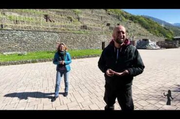 Viticoltura eroica in Valtellina: quanto costa coltivare le terrazze retiche?