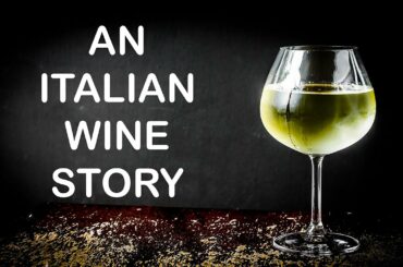 4K Relaxing Tranquility Video Relaxing Scenes of Italian Wine, Winery Relaxing Background Music