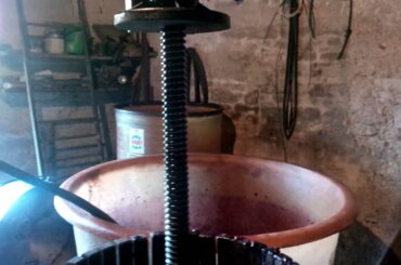 Graham McCormick's Wine Making in Italy: Part 3 - Moving the Grape Skins into the Press