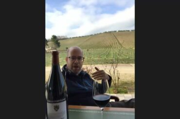 Colle Corviano Wines: Montepulciano d'Abruzzo DOC