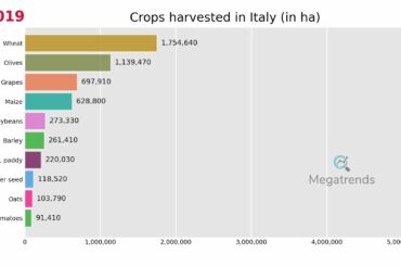 Top 10 Crops harvested in Italy (1961 - 2019)