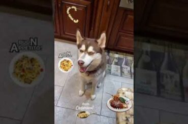 Italian Pasta making Cooking Show