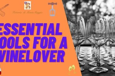 Essential Tools for a real Wine Lover