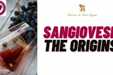 Sangiovese: The Origins