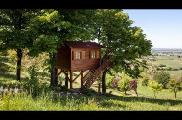 Enjoy the Spacious Interior of This Wonderful Treehouse in Italy