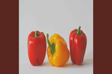 Sumptuous Ambience for Italian Restaurants