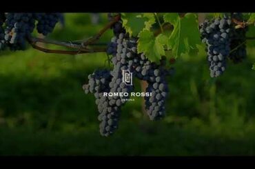 Romeo Rossi Project | Italian Gastronomic House