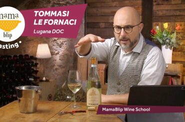 Lugana | Tommasi - Le Fornaci | Wine Tasting with Filippo Bartolotta