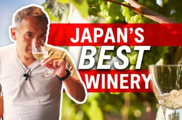 Japan’s Best Winery | I Drank Too Much this Video
