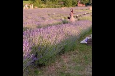 ,,Dining in Lavender field in Italy