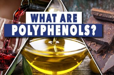 Dr. Gundry: “What the HECK are polyphenols?”  | Ep163