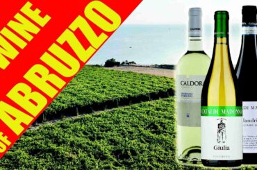 Wines of Abruzzo - Live wine tasting by LIBIAMO WINES UK