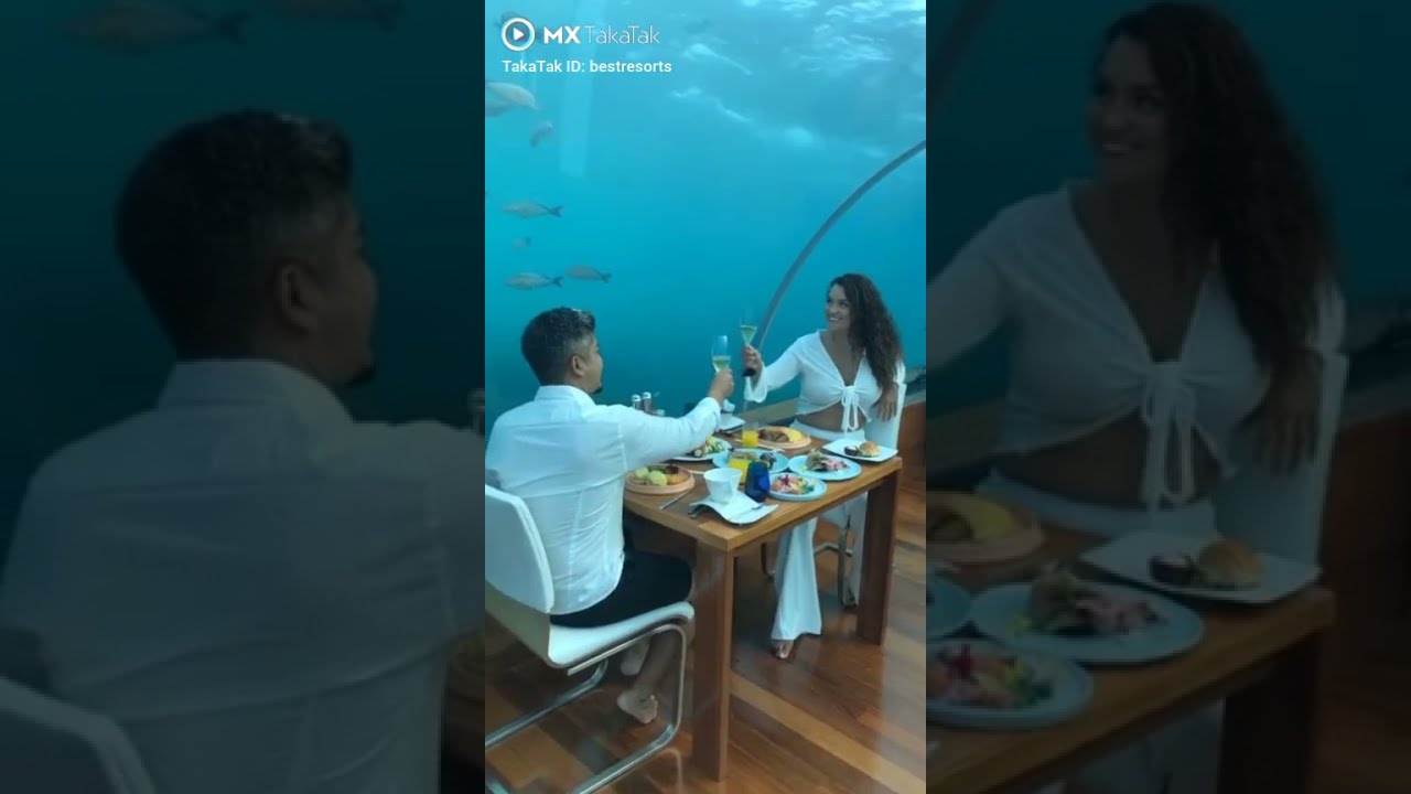 ||Chinese under water dinner restaurant|| ||Chinese under water dinner restaurant||