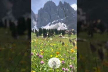 Parco Naturale odle Italy #bestplacetovisitin2021#bestofitaly #punjabivlogs