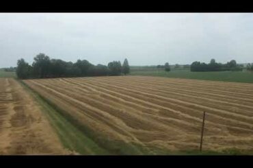 A quick train ride in Italy with the Rebbetzin Unplugged.