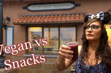 Gelateria Toscana | Rainy day, drinks & sorbet | Italy Pavilion | EPCOT | Walt Disney World