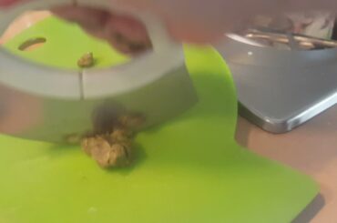 fesa di tacchino al limone italian foods (Filippine)