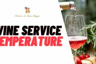 WINE SERVICE TEMPERATURE EXPLAINED!
