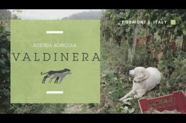 Love to Italy - Azienda Agricola Valdinera