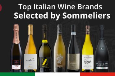 Top Italian Wine Brands Selected by Sommeliers