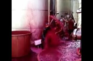 Red wine cistern catastrophically ruptures at Sicilian winery - Awesome (as a bot)