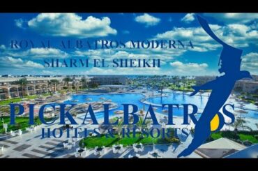 Sharm El Sheikh Hotels Royal Albatros Moderna 5***** Video & Photos & Life UnderWater 2021 EGYPT